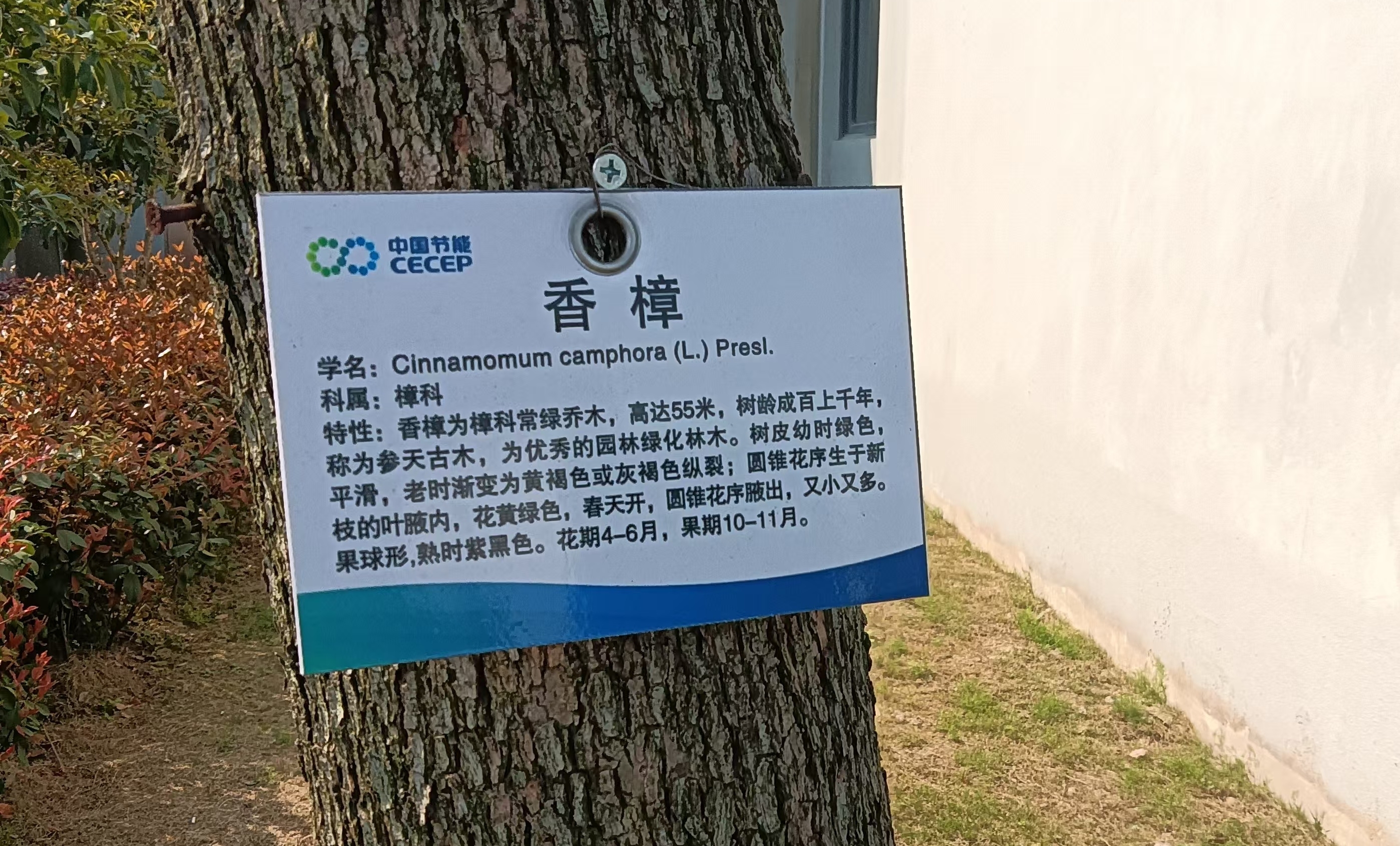 图片31.jpg 图片31.jpg